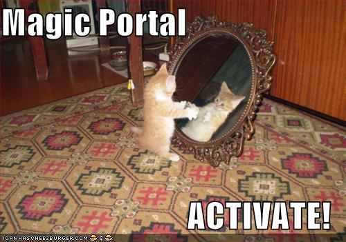Cat waving paws at mirror with the text Magic Portal: Activate! superimposed.